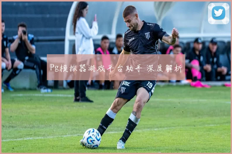Pg模拟器游戏平台助手 深度解析