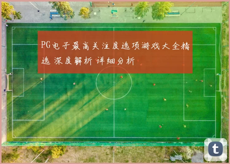 PG电子最高关注度选项游戏大全精选 深度解析 详细分析