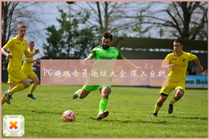 PG游戏会员论坛大全 深入分析