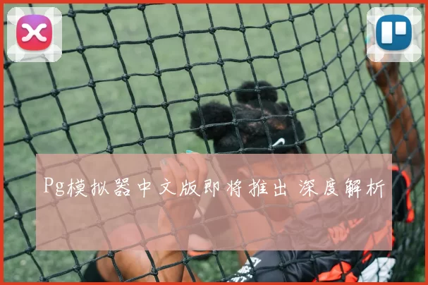 Pg模拟器中文版即将推出 深度解析