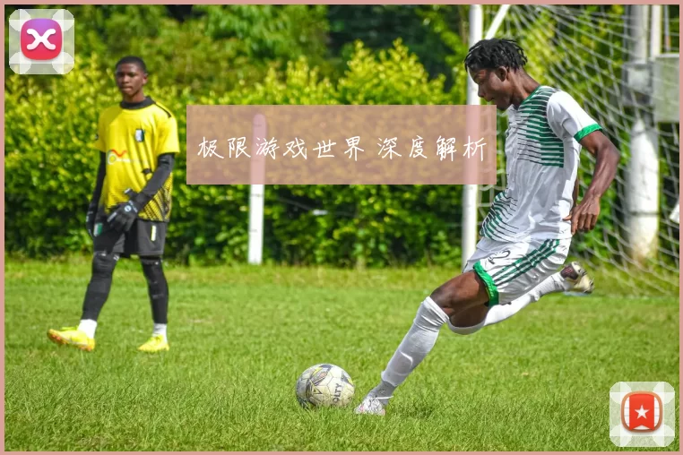 极限游戏世界 深度解析