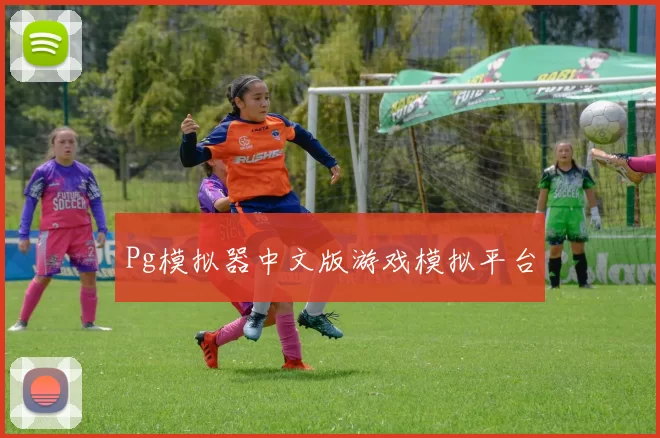 Pg模拟器中文版游戏模拟平台