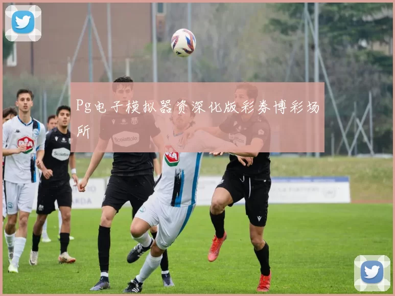 Pg电子模拟器资深化版彩券博彩场所