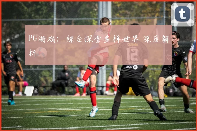 PG游戏：综合探索多样世界 深度解析