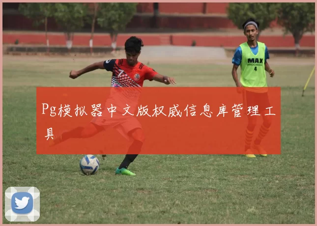 Pg模拟器中文版权威信息库管理工具
