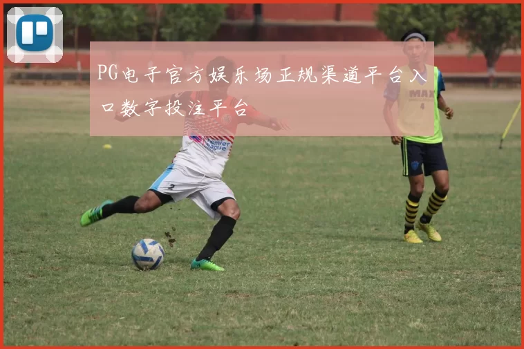 PG电子官方娱乐场正规渠道平台入口数字投注平台