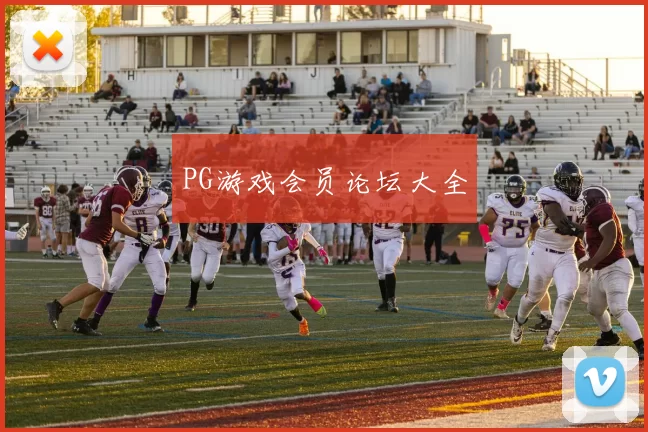 PG游戏会员论坛大全